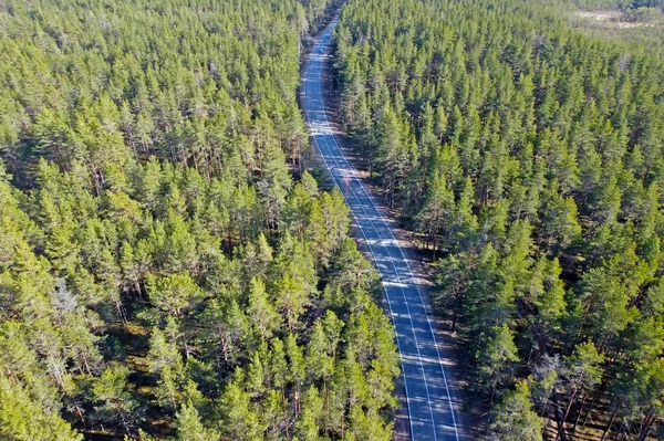 Estrada de asfalto passando pela floresta de pinheiros — Fotografia de Stock