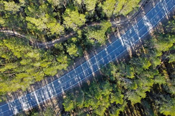 Estrada de asfalto passando pela floresta de pinheiros — Fotografia de Stock
