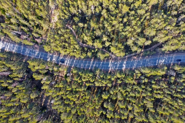 Estrada de asfalto passando pela floresta de pinheiros — Fotografia de Stock