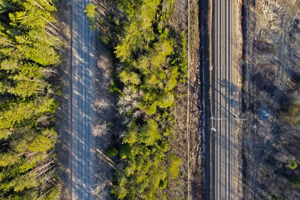 Ferroviário e estrada separaram a floresta das árvores — Fotografia de Stock