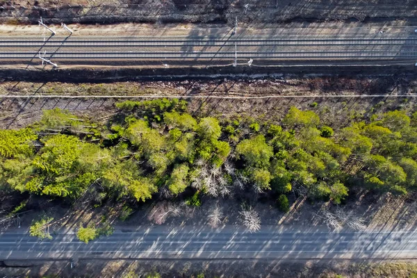 Ferroviário e estrada separaram a floresta das árvores — Fotografia de Stock