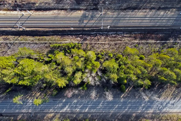 Demiryolu ve yollar ormanı ağaçlardan ayırdı