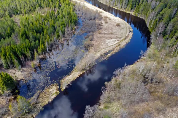 Doblar en el río con un pequeño arroyo que fluye en el bosque —  Fotos de Stock