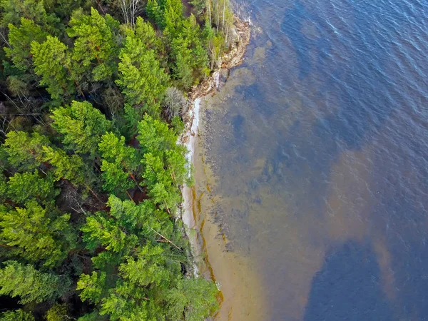 La orilla del lago con tierra arenosa y pinos en la orilla —  Fotos de Stock