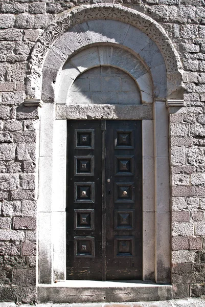 Porta fechada maciça de madeira maciça cor escura — Fotografia de Stock