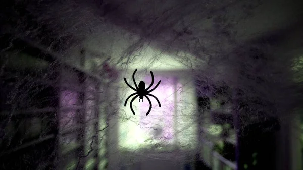 Aranhas e teias de aranha espalhadas pela casa — Fotografia de Stock