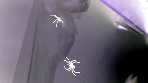 Пауки и паутины разбросаны по всему дому — стоковое фото