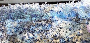 Deniz tabanında köpek dişleriyle deniz pelerini.