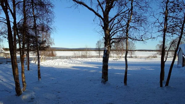 Krajobraz Brzegu Zamarzniętego Jeziora Północy Szwecji — Zdjęcie stockowe