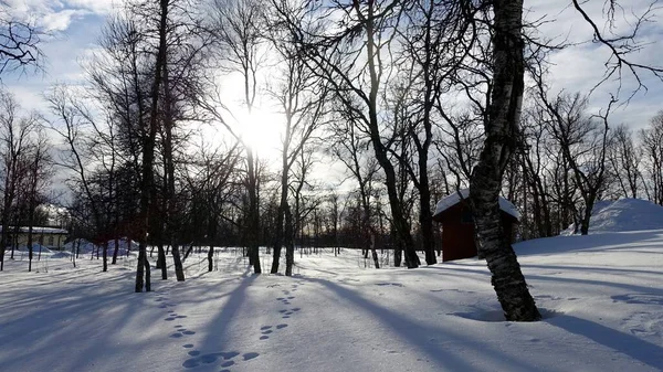 스웨덴 의작은 중앙에 공원의 — 스톡 사진
