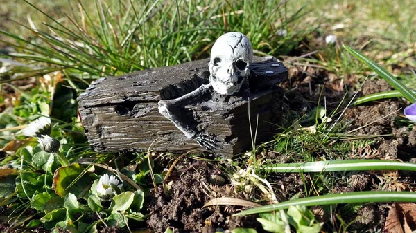 Esqueleto Está Prestes Deixar Peito Durante Manhã — Fotografia de Stock