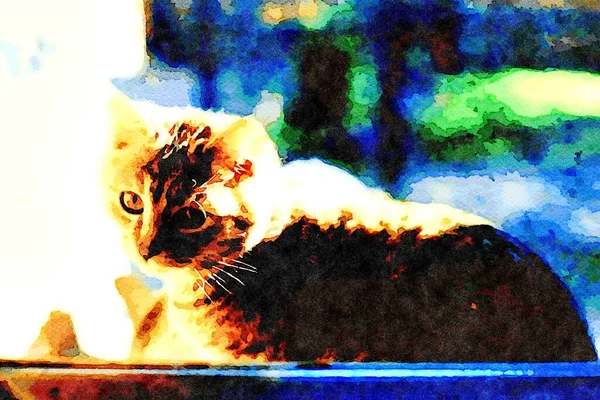 Акварель Изображающая Кошку Тэбби Подоконнике — стоковое фото