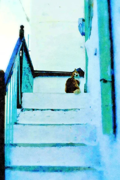 Obrázek Stylu Akvarelu Představující Kočku Čekající Vstup Domu — Stock fotografie