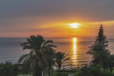 Deniz sahili, günbatımı arka planı. Ön planda palmiye ağaçları, selvi ve yeşillik. Akşamları deniz manzarası harikadır