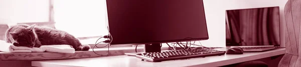 Evdeki ekipmanla birlikte çalışma yeri, merkez ofis olarak kullanılıyor. Esnek saatler ve uzaktan çalışma konsepti. Panorama