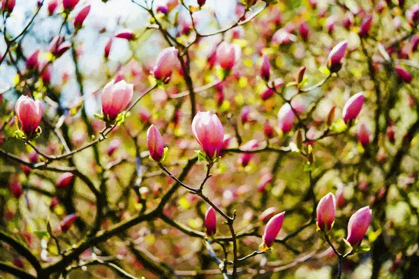 Les Gens Qui Marchent Dans Parc Avec Magnolia Fleurs Sur — Photo