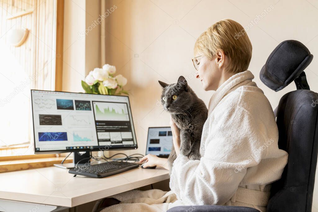Cat sitting with his master at working place with IT equipment at home. He is disturbing woman while her work on computer.