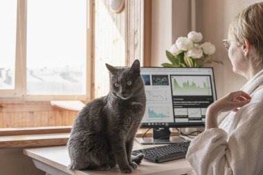 Gri kedi iş yerinde masada oturuyor ve evde bilişim ekipmanları var. Monitörden önce bilgisayar başında çalışan ev elbiseli bir kadın. Esnek saatler ve uzaktan çalışma konsepti.