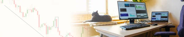 Büro Zieht Wohnung Katze Selig Schlafend Auf Fensterbank Neben Schreibtisch Stockbild