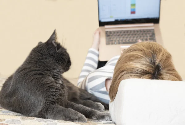 Katze Kontrolliert Arbeit Seiner Herrin Hause Beide Liegen Auf Dem — Stockfoto