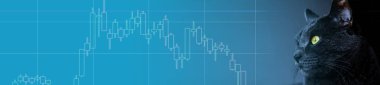 Grafikler ve tablolar, finansal istatistik analizleri. Mavi arkaplan, afiş gibi finansal verilerle grafiğe bakan kara kedi.