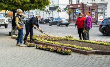 Lutsk, Ukrayna - 11 Mayıs 2020: İş yerindeki bahçıvanlar koronavirüs salgını sırasında halka açık bir sokakta koruyucu maske takıyorlar. Gönüllüler tarafından bahçıvanlık ya da bahçıvanlık. Şehirde peyzaj tasarımı