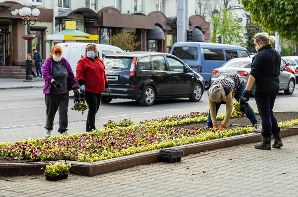 stock image Lutsk, Ukraine - May 11,2020: Flower gardeners at work wear protective mask on a public street during coronavirus epidemic. Urban gardening or horticulture by volunteers. Landscape design in the city