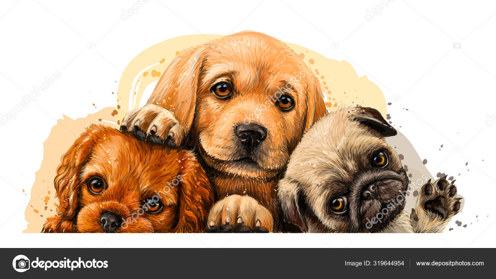pug and cavalier king charles spaniel