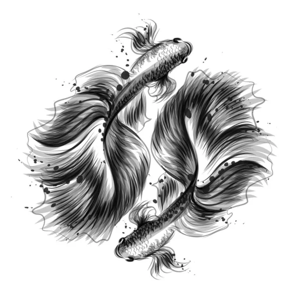 Fishes. Artistic, black-and-white, hand-drawn image of two Cockerel fish in watercolor style on a white background. — Stock Illustration Fishes Artistic Black White Hand Drawn Image Two Cockerel Fish Vector Graphics