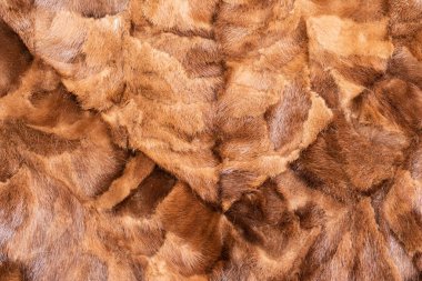 Vizon kürk şeklinde arka plan