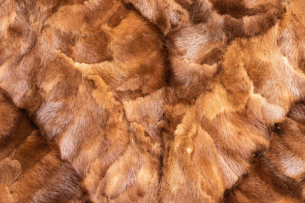 Background in the form of the back of a fur — Stock Photo, Image