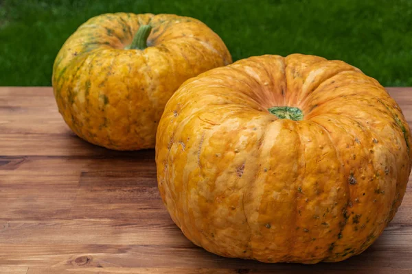 Side view of two large yellow pumpkins lying next to each other — Stock Photo, Image