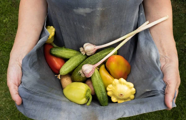 Salatalık, kabak, tatlı biber, patates yumrusu.