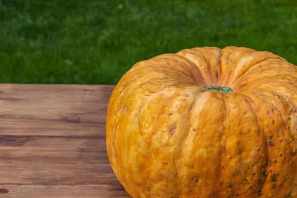 Side view of a large yellow pumpkin lying — Stockfoto