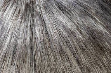 Sahte kürk açık gri şeklinde arkaplan