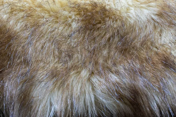 Background in the form of natural fur — 스톡 사진