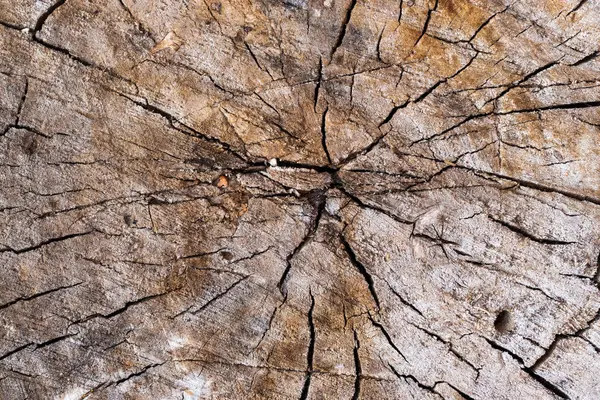 Açık kahverengi renkli eski bir kütük şeklinde arkaplan