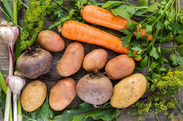 Zanahorias, patatas, remolacha, ajo, eneldo y perejil — Foto de Stock