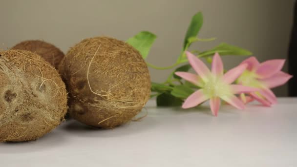 雌性手把磨碎的椰子碎褐色碗放在白色的表面 — 图库视频影像