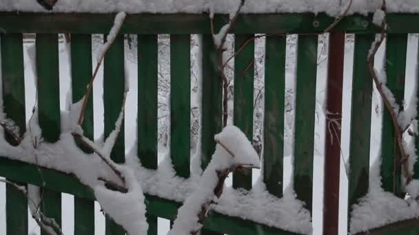 Buiten Het Raam Het Echte Winter Het Sneeuwt Een Rode — Stockvideo