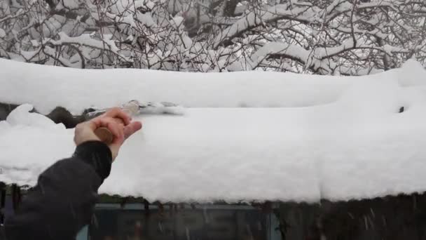 Ένας Άνθρωπος Καθαρίζει Μια Στέγη Ένα Φτυάρι Από Χιόνι — Αρχείο Βίντεο