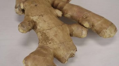 Kamera, zencefilin büyük kökü boyunca tepeden tırnağa hareket eder.