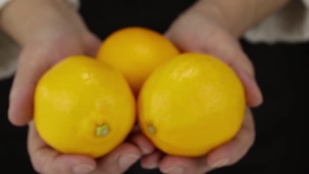 Mani Femminili Portano Tre Limoni Nelle Palme Dalla Sfocatura Alla — Video Stock