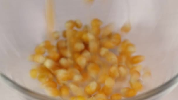 Зерна Кукурузы Падают Прозрачную Чашу Крупным Планом — стоковое видео