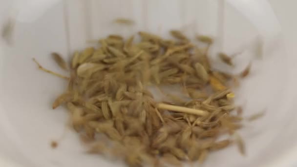 Zira Seeds Fall Glass Transparent Bowl Close — Stock Video