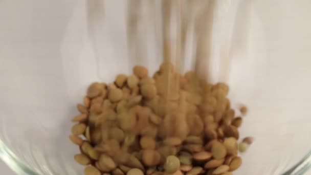 レンズ豆の果実はガラスの透明なボウルに落ち クローズアップ — ストック動画