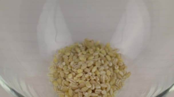Жемчужные Зерна Ячменя Падают Прозрачную Стеклянную Чашу Крупным Планом — стоковое видео