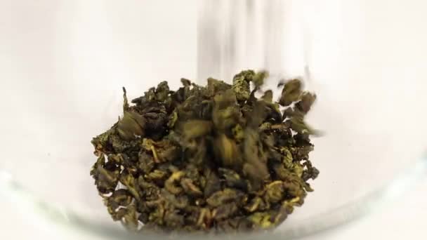 Oolong Liście Zielonej Herbaty Spadają Przezroczystej Szklanej Misce Zbliżenie — Wideo stockowe