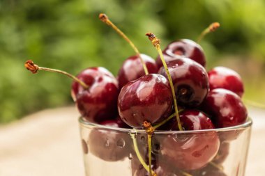 Yeşil yaprakların üzerinde şeffaf bir bardakta olgun kirazlar.