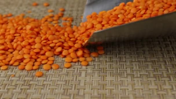 Lentilles Orange Tombent Une Cuillère Métal — Video